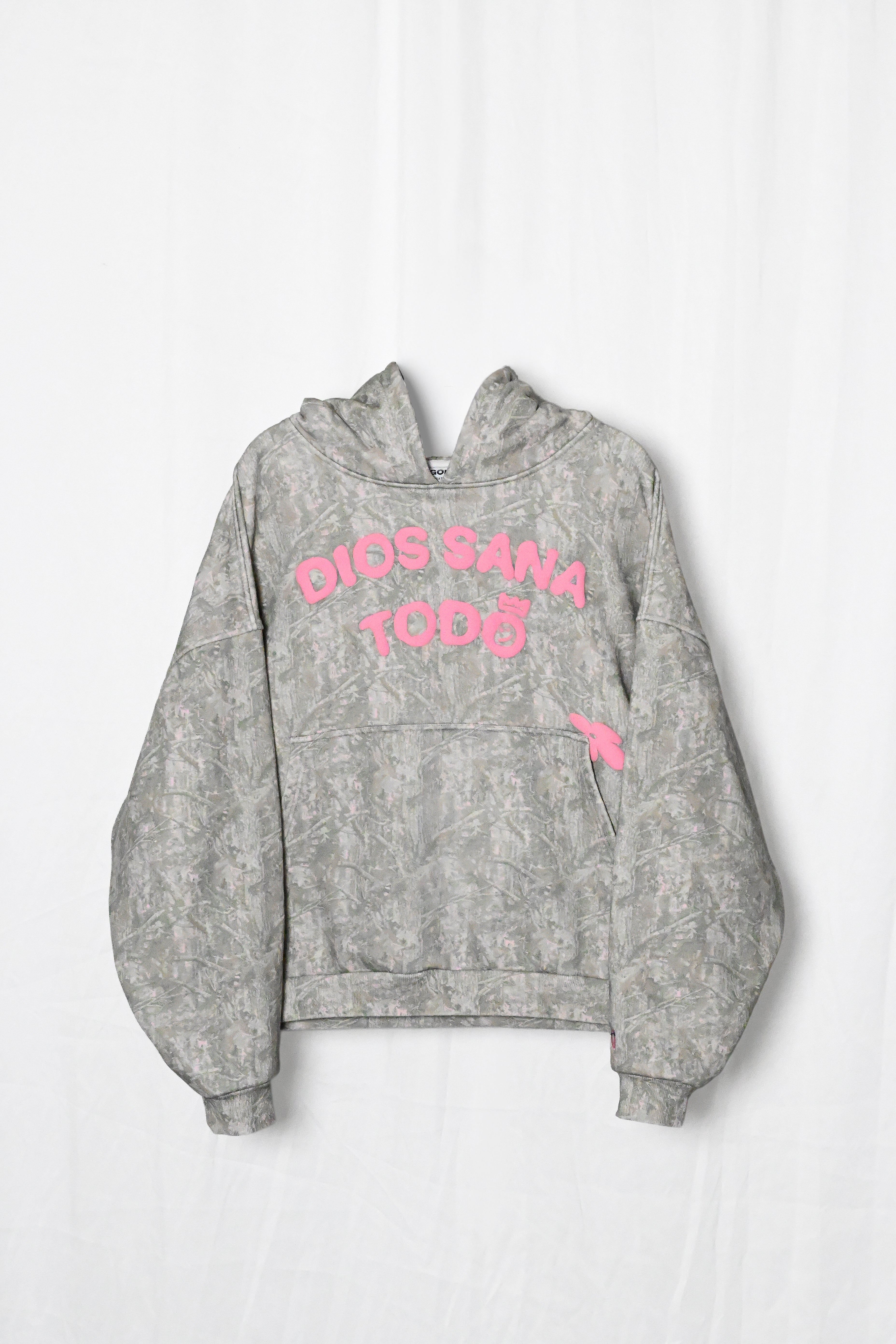 Dios Sana Todo Hoodie